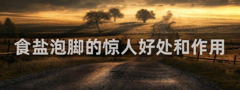 威九国际图片