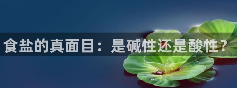 威九国际取款不到账