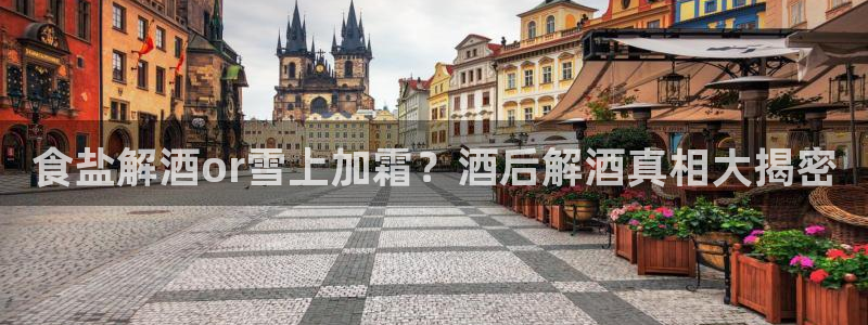 威九国际官网在线进入网站查询网址
