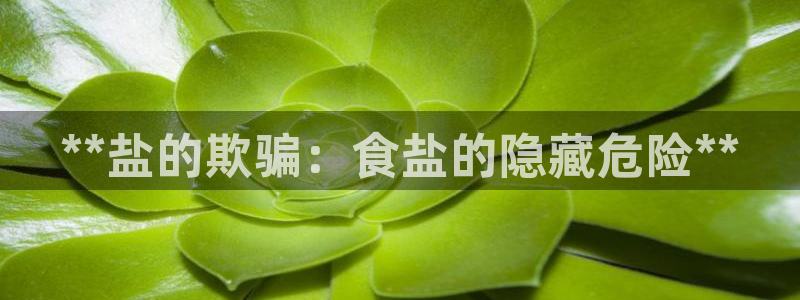 威九国际APP