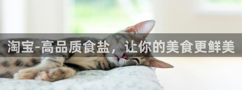 威九国际v9