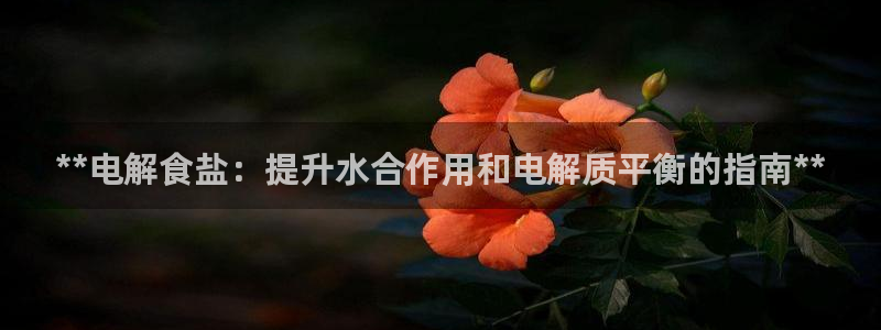 威九国际APP