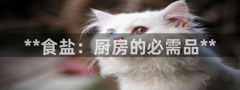 威九国际最新网站