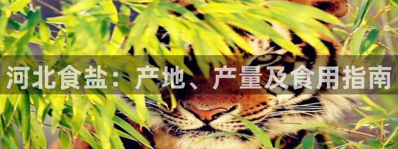 威九国际娜娜