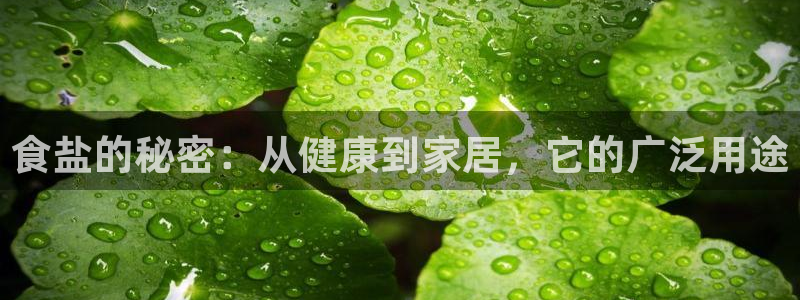 威九国际网站经常打不开网页