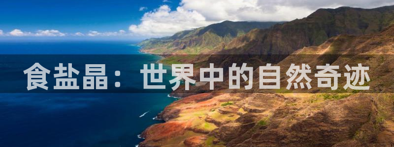 威九国际MM