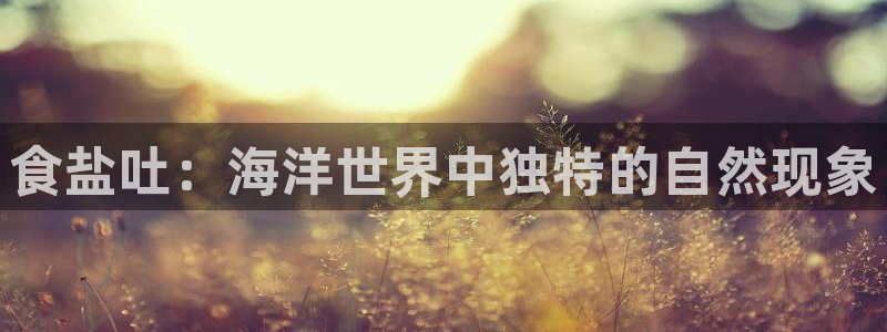 威九国际集团66m一6在线