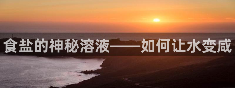 66m威九国际精选