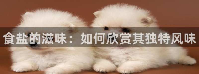 威九国际的演员