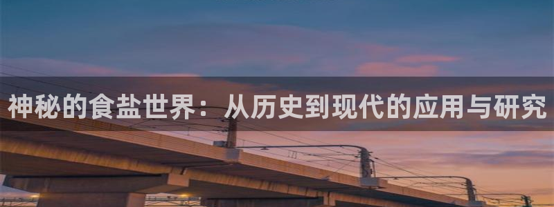 威九国际旗下艺人