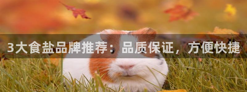 威九国际能提现吗安全吗
