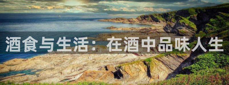 威九国际app网站官网