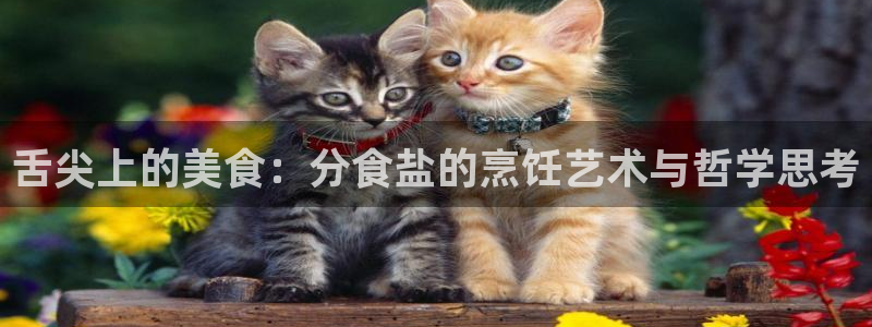 威九国际78m78：舌尖上的美食：分食盐的烹饪艺术与哲学思考