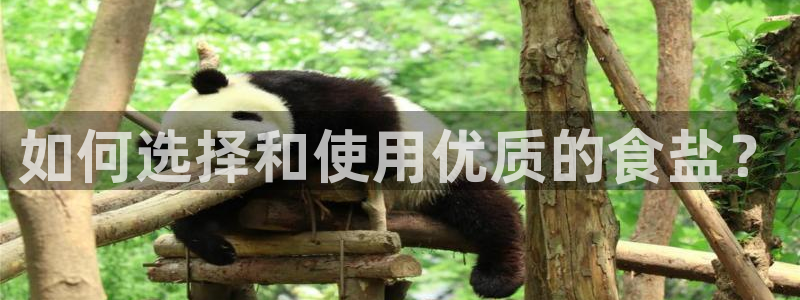 保定威九网络科技有限公司招聘