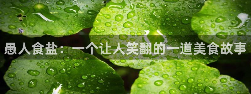 78mapp威九国际