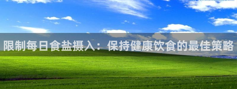威九国际狂飚电影