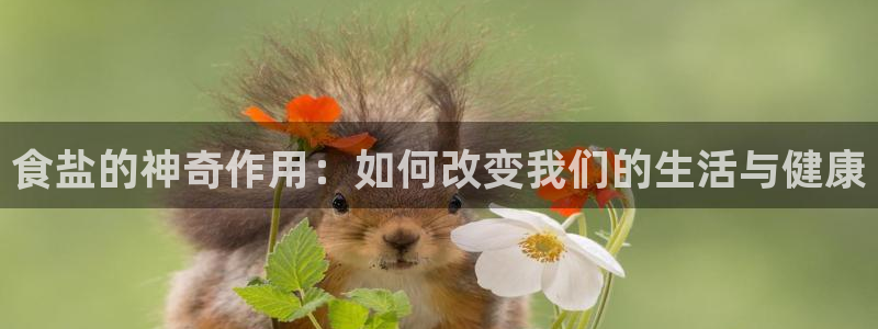78.m威九国际官网版
