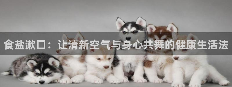 威九国际网站链接怎么打开