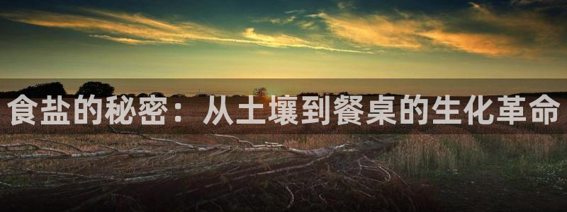 威九国际8ⅹ8x