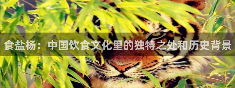 威九国际66m官网版
