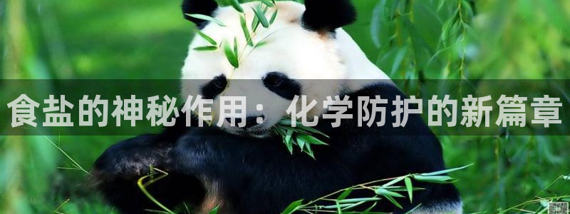 威九国际精免费下载