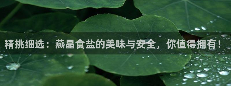 威九国际66m66大陆：精挑细选：燕晶食盐的美味与安全，你值