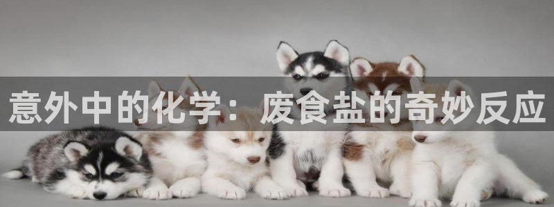 威九国际v96 bet会黑吗