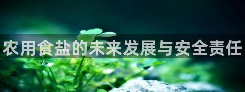 威九国际网站更新