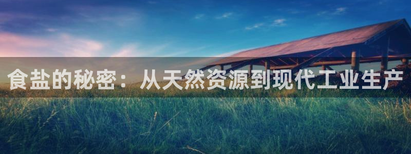 威九国际的演员：食盐的秘密：从天然资源到现代工业生产