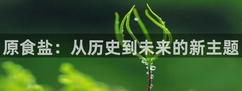 威九国际ppt免费下载网址