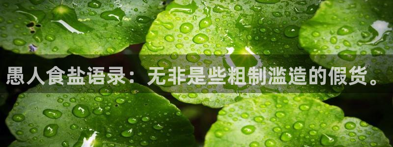 威九国际网站传媒