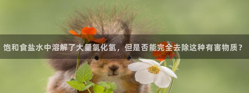 威九国际ppt免费吗