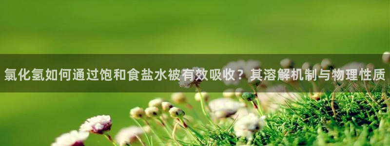 威九国际h5