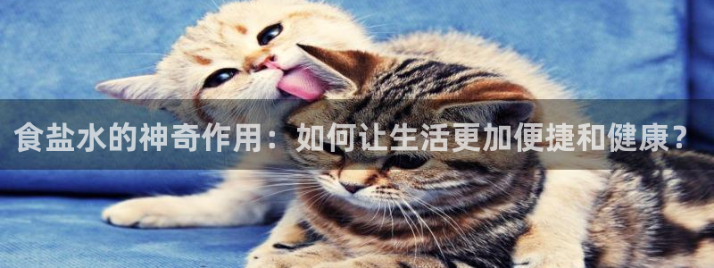 威九国际精选酒店电话