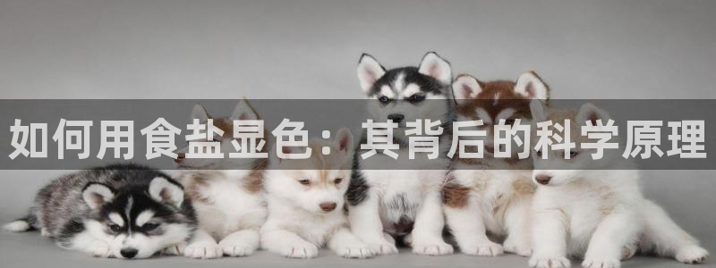 威九国际v96BET