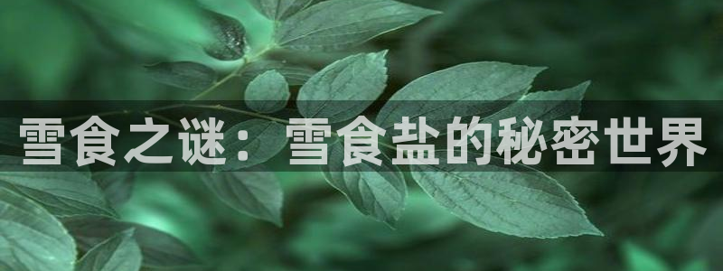 威九国际官网在线进入网站查询网址