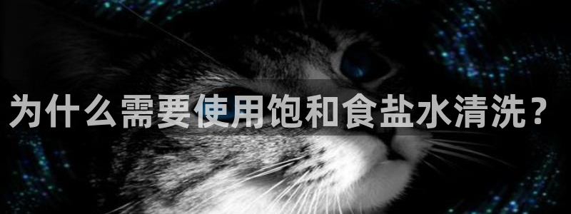 威九国际app入口官网