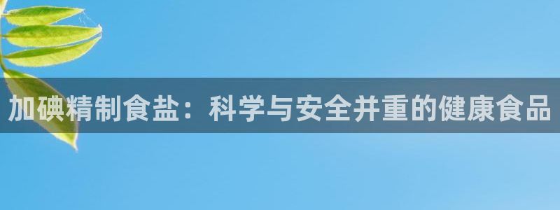 威九国际ppt免费下载