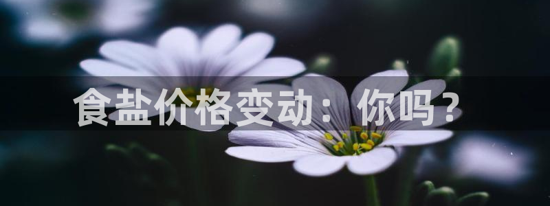 威九国际v8