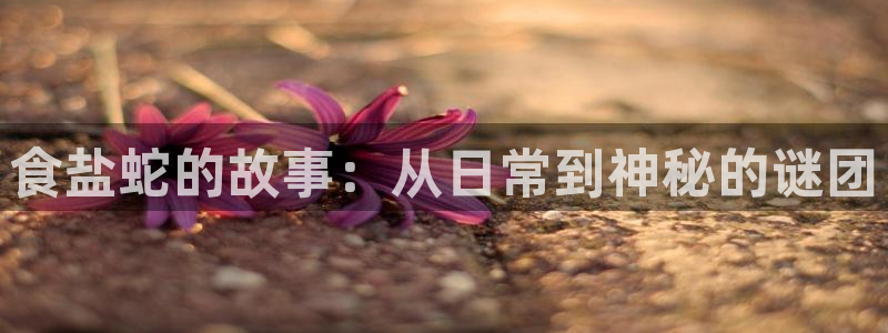 威九国际哪国的