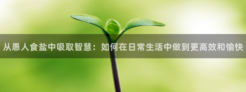 威九国际网站是多少