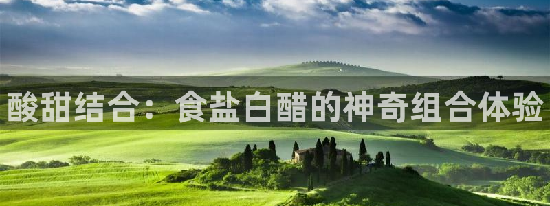 威九国际v9