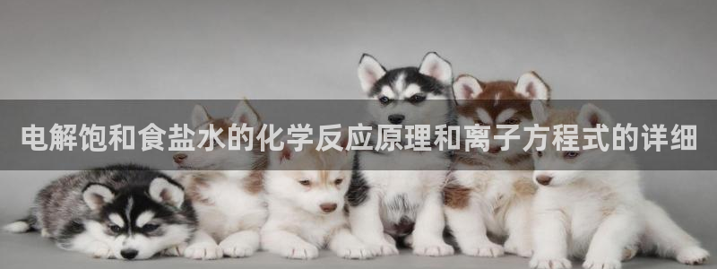 威九国际v96 bet会黑吗