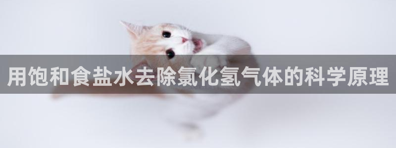威九国际v96bet下载