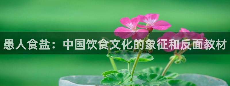 威九国际app无法登陆怎么回事