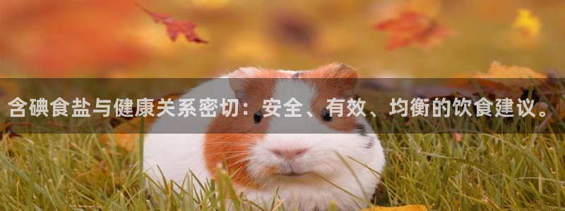 威九国际app入口官网