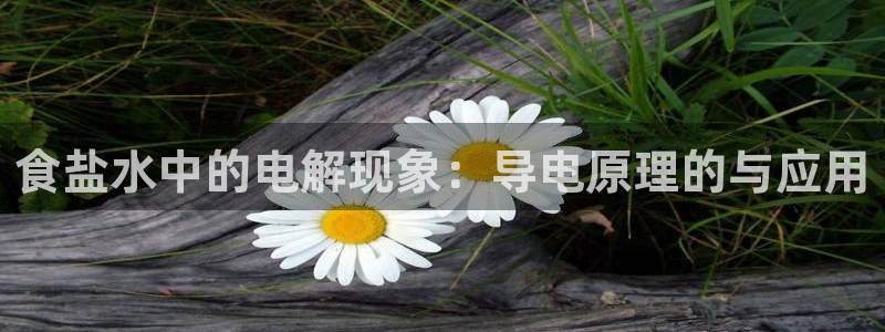 威九国际能提现吗现在