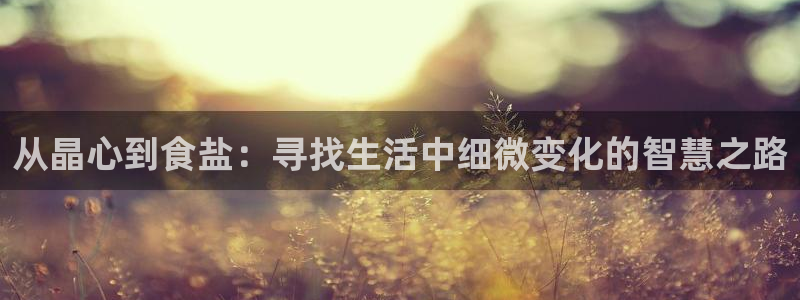 威九国际app下载