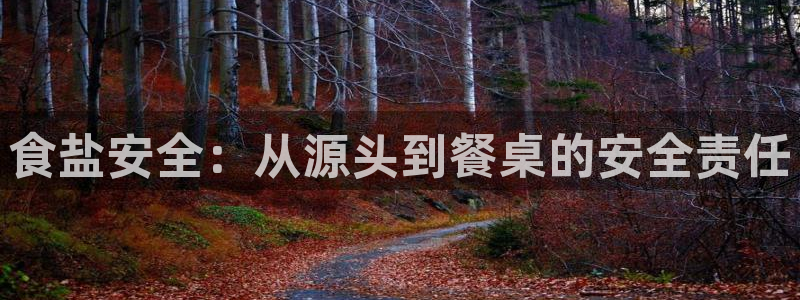 威九国际网站传媒招聘