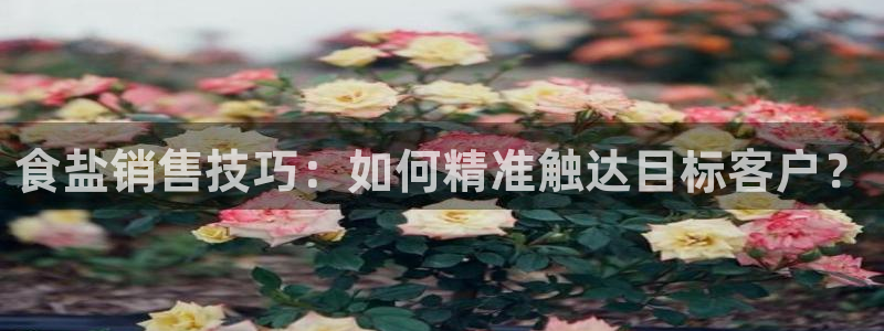 威九国际官网登录入口